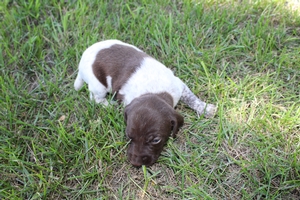 Maggie X Jett 2021 2