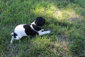 Maggie X Jett 2021 2