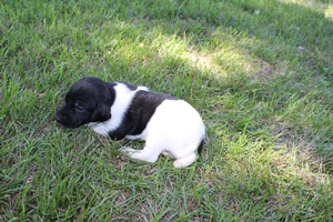 Maggie X Jett 2021 3