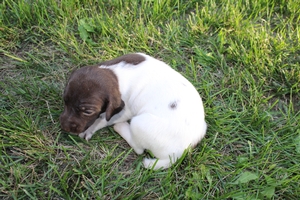 Maggie X Jett 2021 4