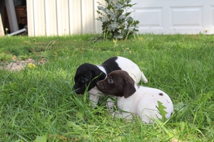 Maggie X Jett 2021 5