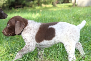 Maggie X Jett 2021 4