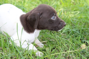Maggie X Jett 2021 5