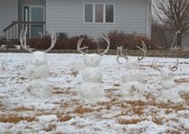 Missouri River Kennels Uncategorized photo gallery.