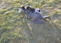 Missouri River Kennels Gsps photo gallery.