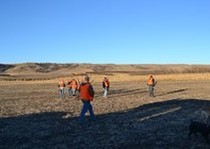 Missouri River Kennels Hunting Photo Gallery