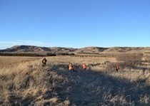 Missouri River Kennels Hunting Photo Gallery