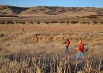Missouri River Kennels Hunting Photo Gallery