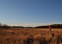 Missouri River Kennels Hunting Photo Gallery