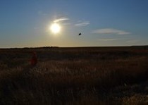Missouri River Kennels Hunting Photo Gallery