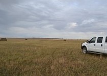 Missouri River Kennels Hunting Photo Gallery